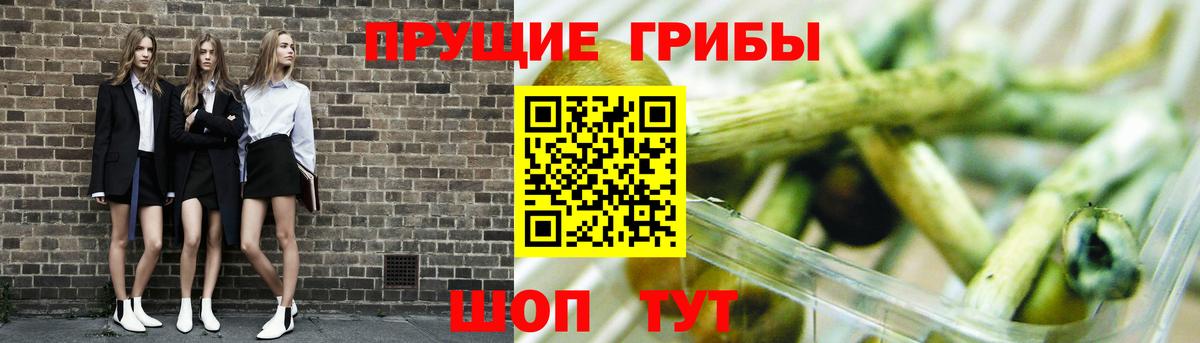 Белогорск  как найти закладки  Вход с VPN  Псилоцибиновые грибы мухоморы  Галлюциногенные грибы мицелий 